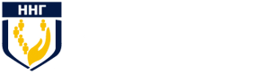 Независимая Наркологическая Гильдия