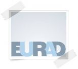 Делегация ННГ в Брюсселе на заседании EURAD
